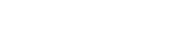Department of Children and Family Services (Safety First / Safety Always)